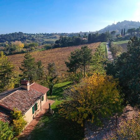 Il Vigneto Cottage Bertinoro Eksteriør billede