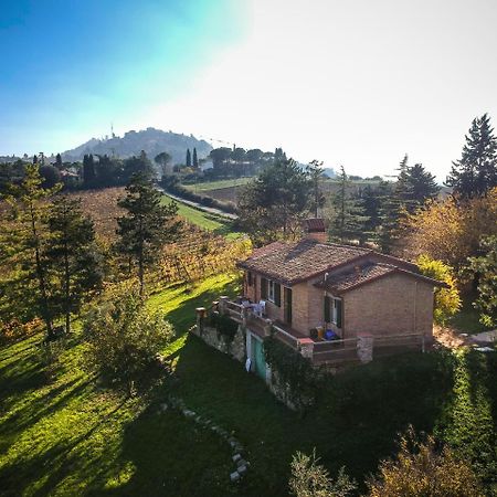 Il Vigneto Cottage Bertinoro Eksteriør billede