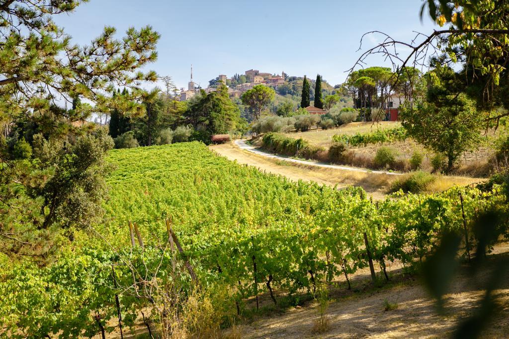 Il Vigneto Cottage Bertinoro Eksteriør billede