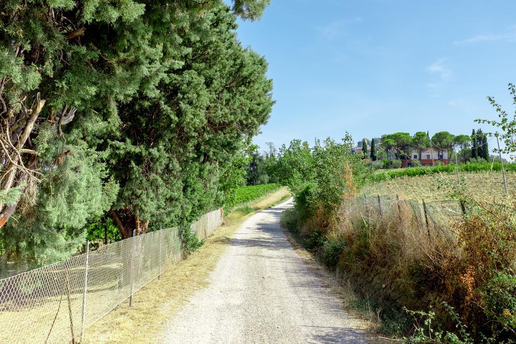 Il Vigneto Cottage Bertinoro Eksteriør billede