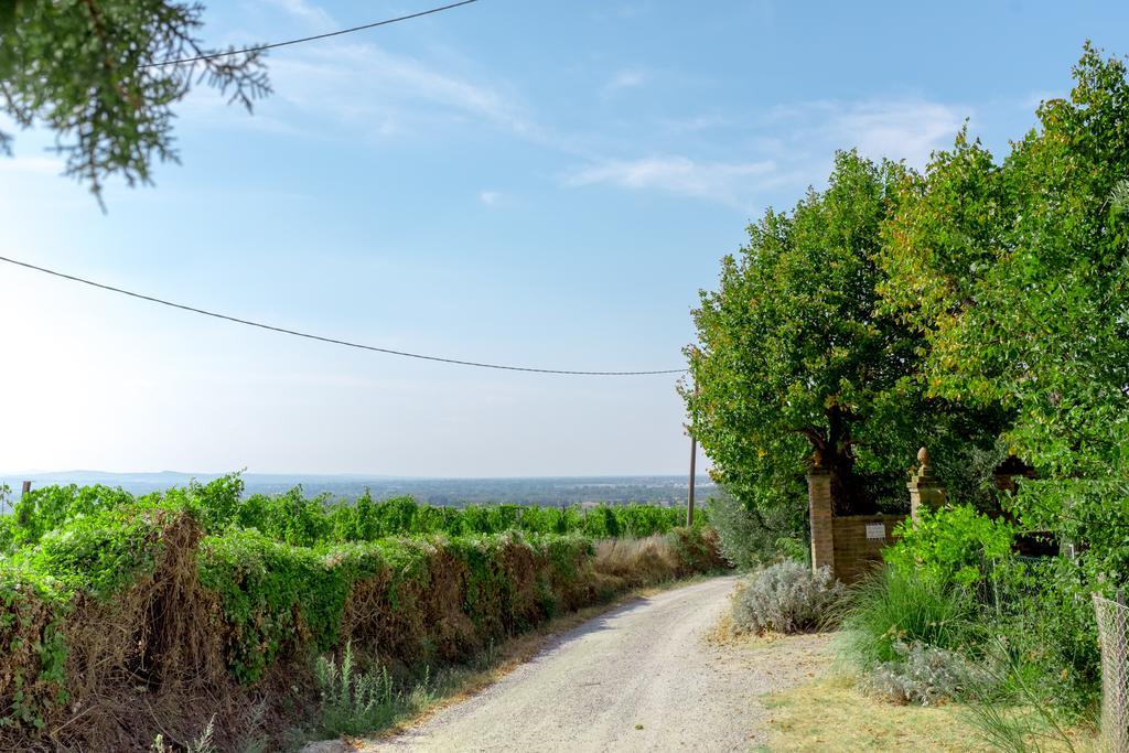 Il Vigneto Cottage Bertinoro Eksteriør billede