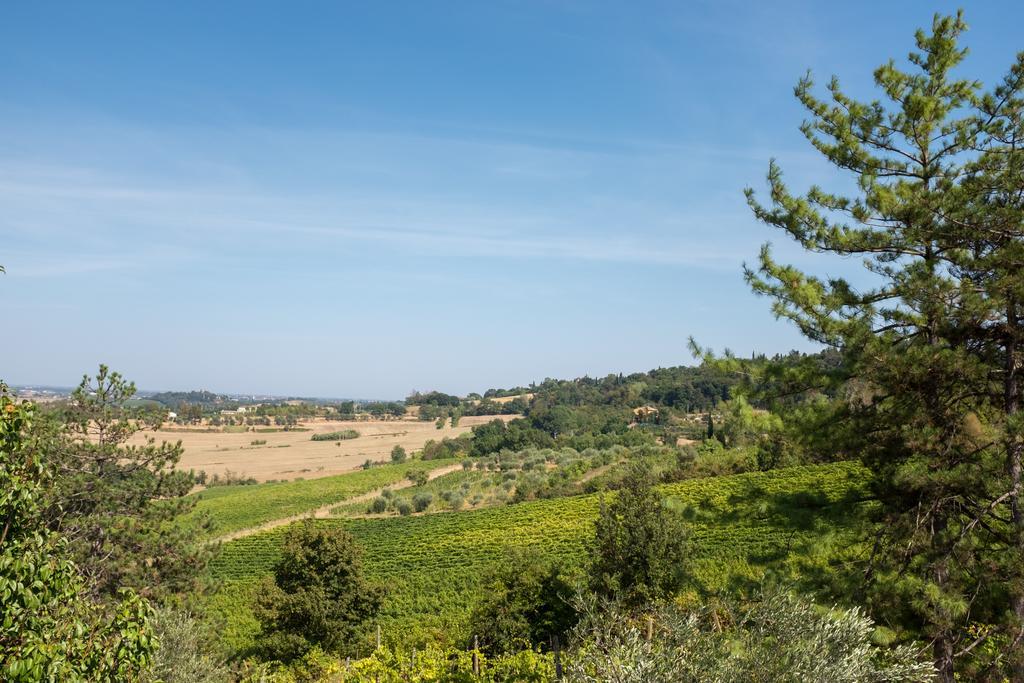 Il Vigneto Cottage Bertinoro Eksteriør billede